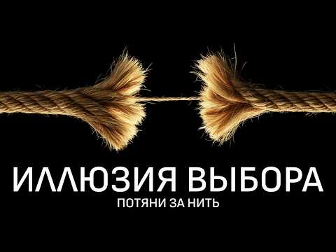Через час вы потеряете веру в свободу воли