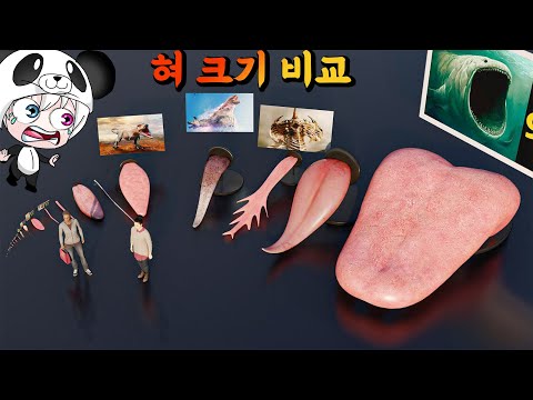 신기방기한 몬스터들의 혀 크기 꿀잼 비교!! 크기 모양 색깔도 가지각색!! 누가 가장 클까? tongue comparison 애니메이션 상황극 [꿈토이 꿀잼 리액션]