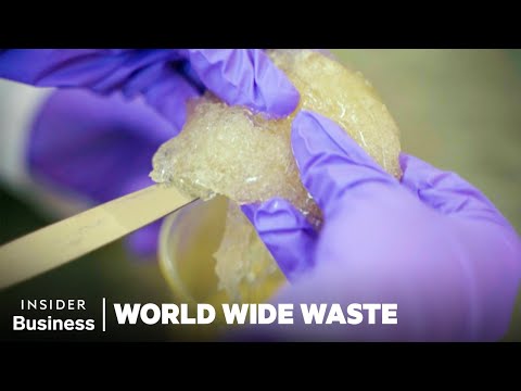 Can Indian Seaweed Replace Plastic? | World Wide Waste | Business Insider