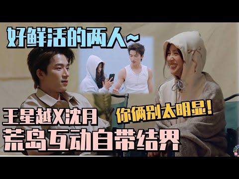 【SUB】好鲜活的两人~沈月给王星越拍专属大片被抓包！两人超害羞~#沈月 #shenyue #王星越 #五十公里桃花坞 #wonderland