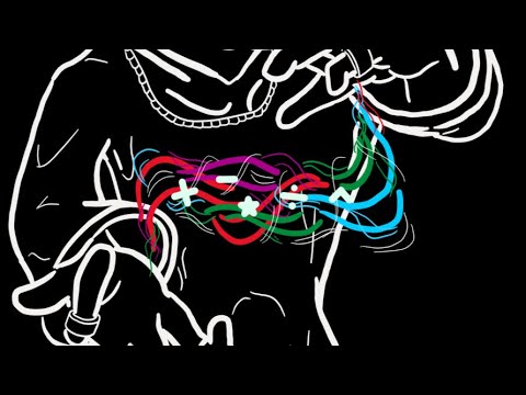 But what ARE the operations?