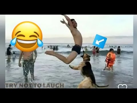 “So Funny, You’ll Forget What You Were Doing!” | Part 22 🔥😂