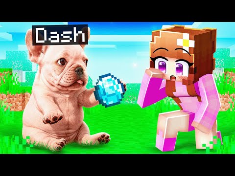Playing As A HELPFUL PIBBLE in Minecraft…