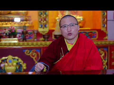 Богд зонховын тухай түүх