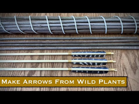 The Art of Arrow Making - Wild Shoots (Chapter 4)
