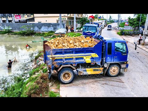 Full VDO Start Moving Stone By Power Komat'su Dozer Push Stone Into Water With Dump Truck 5ton