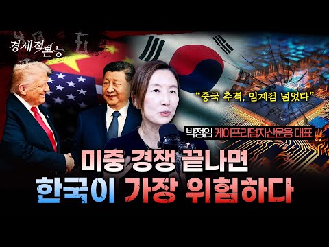 중국 추격, 임계점 넘었다..원화 추락과 한국 제조업 위기 연결고리ㅣ박정임 케이프리덤자산운용 대표 [경제적본능]