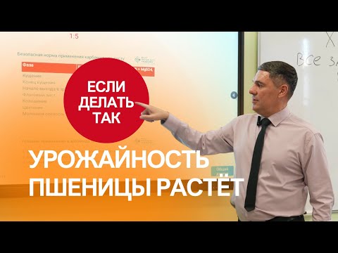 Схемы увеличения урожайности пшеницы в Сибири: удобрения, техника, ошибки | Сергий Ризанов