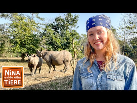 Ein kleines Panzernashorn wird groß | Reportage für Kinder | Nina und die wilden Tiere