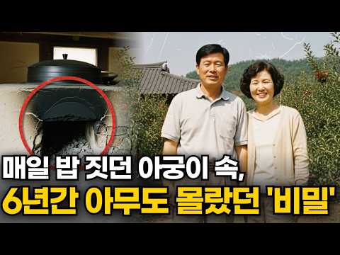 A couple disappeared from an orchard in Cheongdo in 2003... What was the secret hidden in the fir...