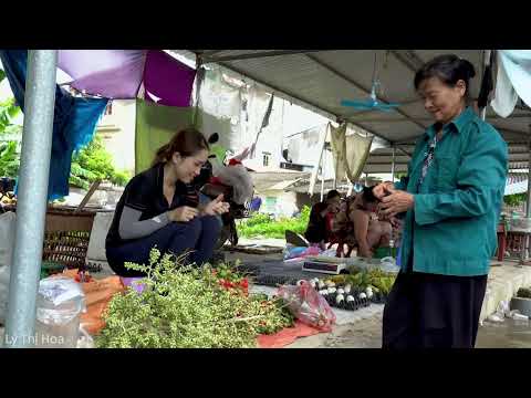 Harvesting the Cardinal Fruit to Sell – One Pot Village Lunch | Easy Country Cooking
