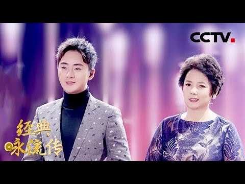 [经典咏流传]陈力、余少群为你唱经典《枉凝眉》 | CCTV