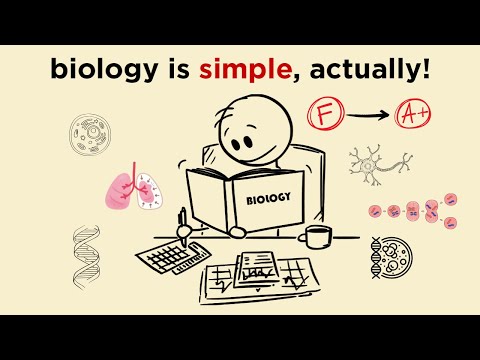 How to study BIOLOGY so FAST that it feels ILLEGAL