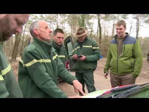 Portrait of a forest ranger in Marckolsheim