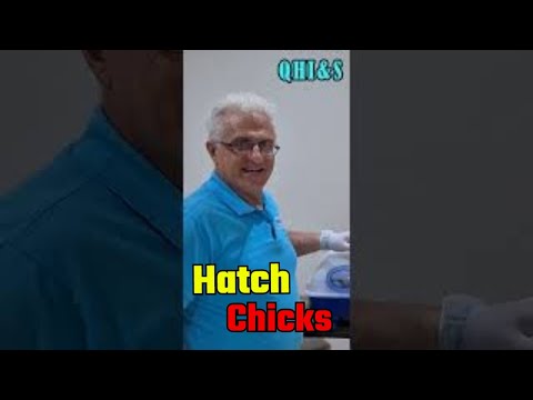 DIY Incubating Eggs - The EASY Way!