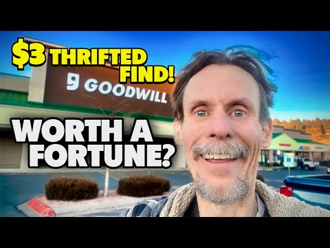 Proof You Can STILL Find Incredible Vintage at Thrift Stores! 💫