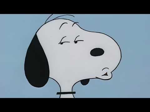 𝐏𝐥𝐚𝐲𝐥𝐢𝐬𝐭 일하기 싫을 때 듣는 적당히 신나는 로파이 재즈 힙합∣A moderately lively lo-fi jazz hip-hop vibe