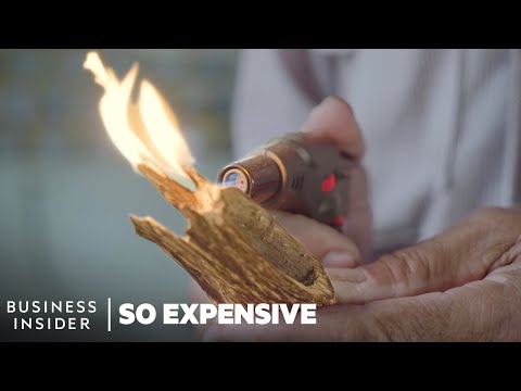 Why 4 Of The World’s Priciest Scents Are So Expensive | So Expensive Marathon | Business Insider