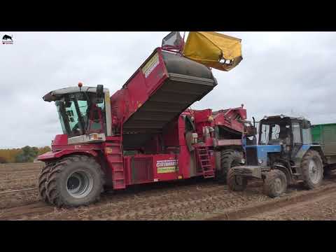 Такую ТЕХНИКУ вы точно НЕ ВИДЕЛИ! На уборке картофеля Grimme EVO 290, Grimme SF 150-60.