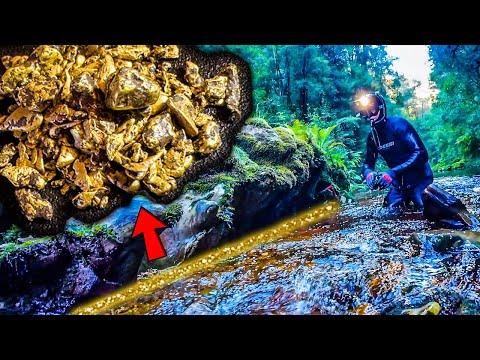 You Won't Believe How Much Gold Was Hiding Here!