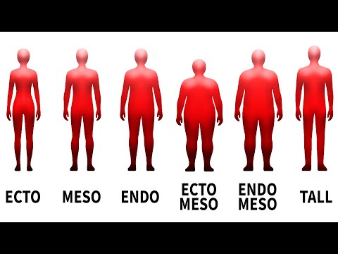 Every Hidden Advantage of Your Body Type Explained