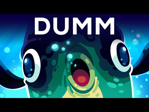 Das dümmste Tier der Welt