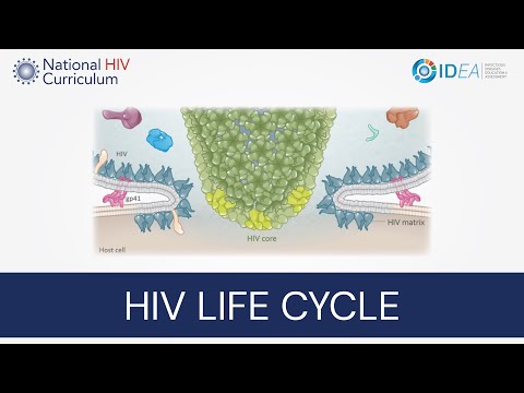 Mini-Lecture Series: Overview of the HIV Life Cycle