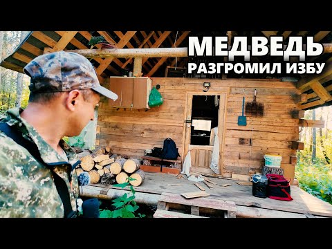ЖУТКОЕ ПРОИСШЕСТВИЕ НА ИЗБЕ ПОВЕРГЛО НАС В ШОК \ НАПАДЕНИЕ МЕДВЕДЯ \ ЖЕНУ ТРЯСЁТ \ ФОТОЛОВУШКА СДОХЛ
