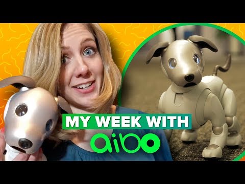 Sony Aibo: what it's like to live with a robot dog