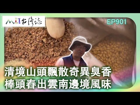 清境山頭飄散奇異臭香 棒頭舂出雲南邊境風味｜南投縣仁愛鄉 麥覺明【@ctvmit901集】