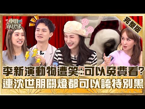 影后非你莫屬！李新陪老公演動物遭笑：可以免費看？連沈世朋關燈都可以誇「特別黑」！【#小姐不熙娣】20250609 完整版 EP812 楊皓如 李新