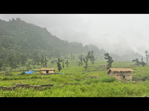 Naturally Most Beautiful Nepali Mountain Village Life: Living Very Organic Lifestyle || IamSuman