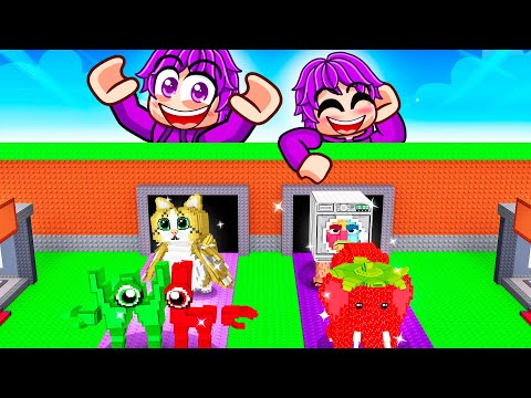 I used ∞ LUCK on TWO ROWS in ADMINS SERVER in Steal a Brainrot