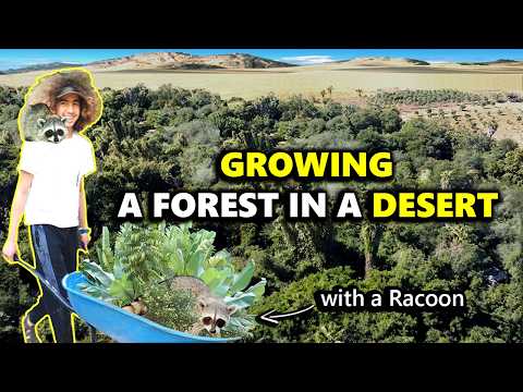 How This Family Transformed Desert Into Lush Forest [PART ONE]
