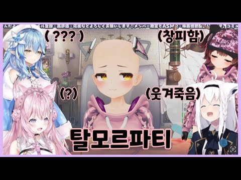 고성능 흑역사 박제쇼 [ 하쿠이 코요리 / 유키하나 라미 / 시라카미 후부키 / 로보코씨 / 홀로라이브 ]