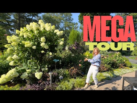 My BIGGEST garden tour ever!