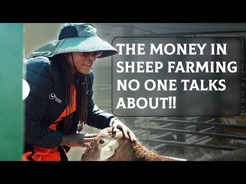 She Made Half a Million from Sheep – Lopang Ntombela’s Unfiltered Farming Journey