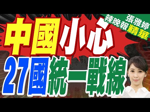 27國統一戰線盯上中企 中國企業加速撤離荷蘭 大批資產高價出售｜中國小心 27國統一戰線｜郭正亮.蔡正元.栗正傑深度剖析?【張雅婷辣晚報】精華版 @中天新聞CtiNews