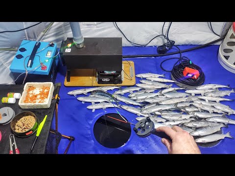 ТАСКАЮ РИПУСА ПО ПЕРВОМУ ЛЬДУ!!!ЛОВЛЯ РИПУСА на ОЗЕРЕ УВИЛЬДЫ.