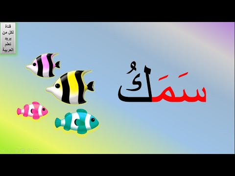 قراءة الكلمات بالتهجي | تعليم التهجي للأطفال لتعلم قراءة الكلمات العربية | تعلم القراءة للاطفال