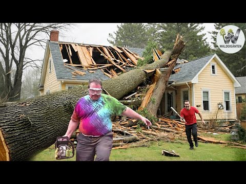 Idiots with chainsaws: Failed tree felling attempts & roof collapses #10