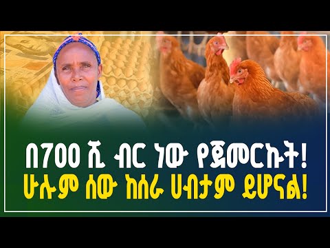 ሁሉም ሰው ከሰራ ሀብታም ይሆናል ! "የዶሮ እርባታ ስራ አዋጭ ነው" እድሜ ያልገደባት ጀግና እናት! | chicken farming | Gebeya Business
