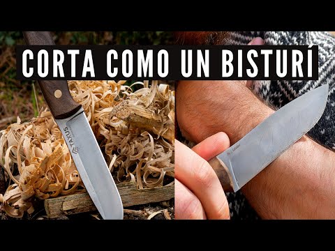 EL CUCHILLO BUSHCRAFT PERFECTO?? SU CORTE ME ASUSTA... TAXUS HABILIS