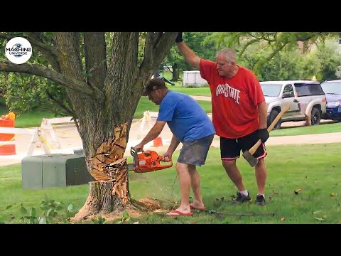Idiots With Chainsaws: Tree Cutting Fails | Extreme Dangerous Logging Truck Fails #28