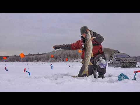 КТО БЫ МОГ ПОДУМАТЬ! РЫБАЛКА С НОЧЁВКОЙ ПРЕВРАТИЛАСЬ В ДИКИЙ ЖОР!  АЭРОЛОДКА, ПАЛАТКА, ЖЕРЛИЦЫ!