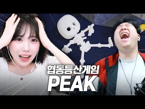 협동 없는 협동 게임 [종겜동 합방 라이어스 바, 피크 풀영상]