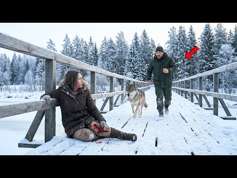 Ветеран и верный волк спасли раненую вдову — правда снежной ночи шокировала всех