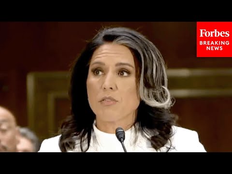 BREAKING NEWS: Tulsi Gabbard Defends Her Record, Slams Intelligence Community In Confirmation Intro