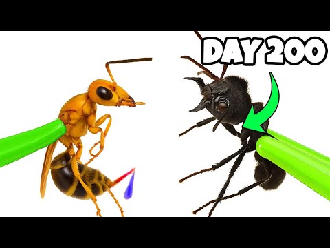 Simulating 1,000 Giant Ants and 1,000 Crazy Ants | 200 Days of Ant Colony Simulation 😱 ANTTREK