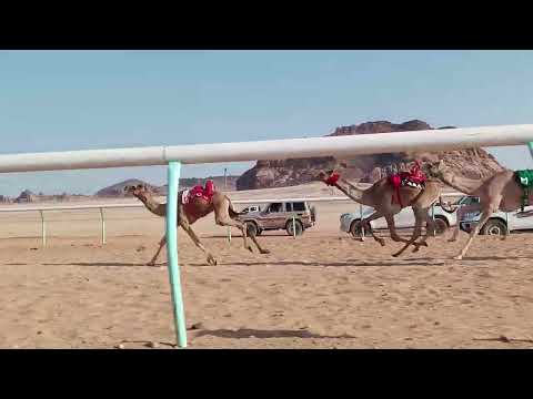 شباب لـ راشد عبد الرحمن الحويطي